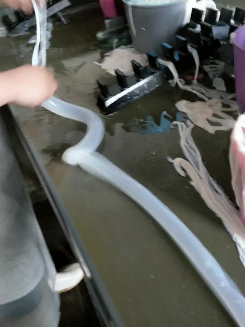 猪🐷肠衣