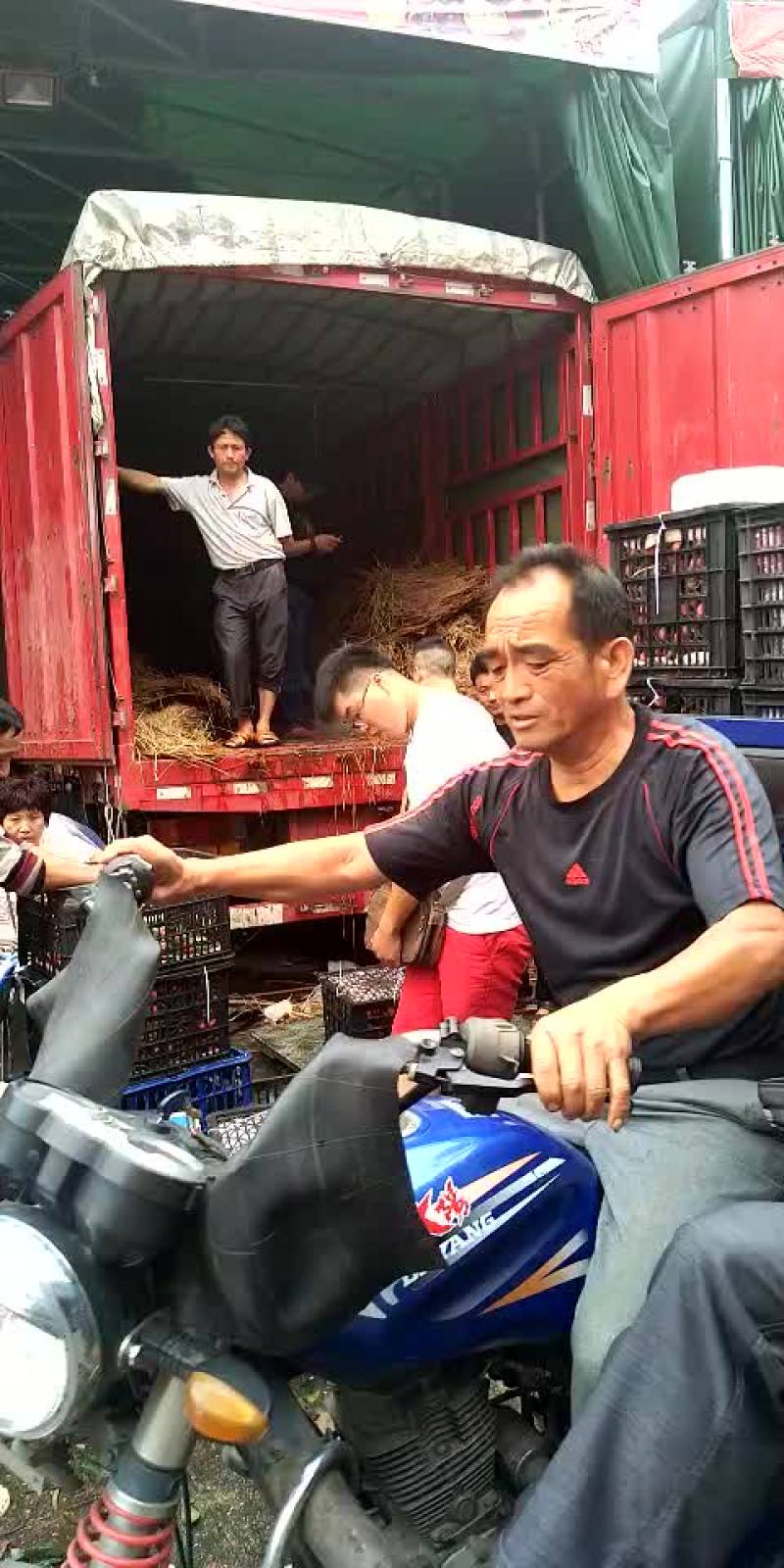 看清楚！我们是市场代卖，不是产地，价格只是象征