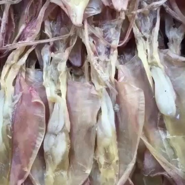 鱿鱼囡干资