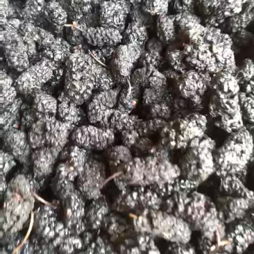 黑桑椹：干净无杂无砂泡水煮水即时