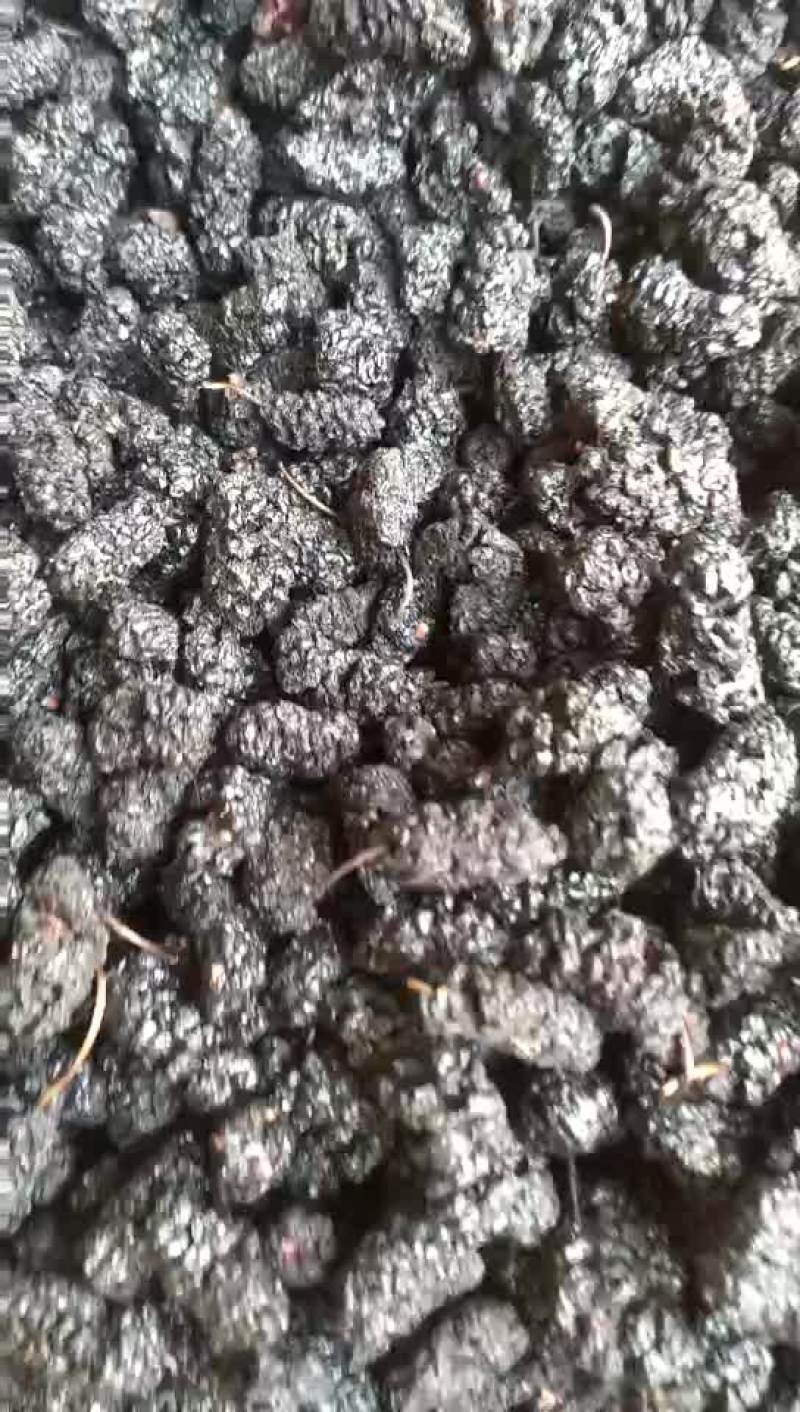 黑桑椹：干净无杂无砂泡水煮水即时