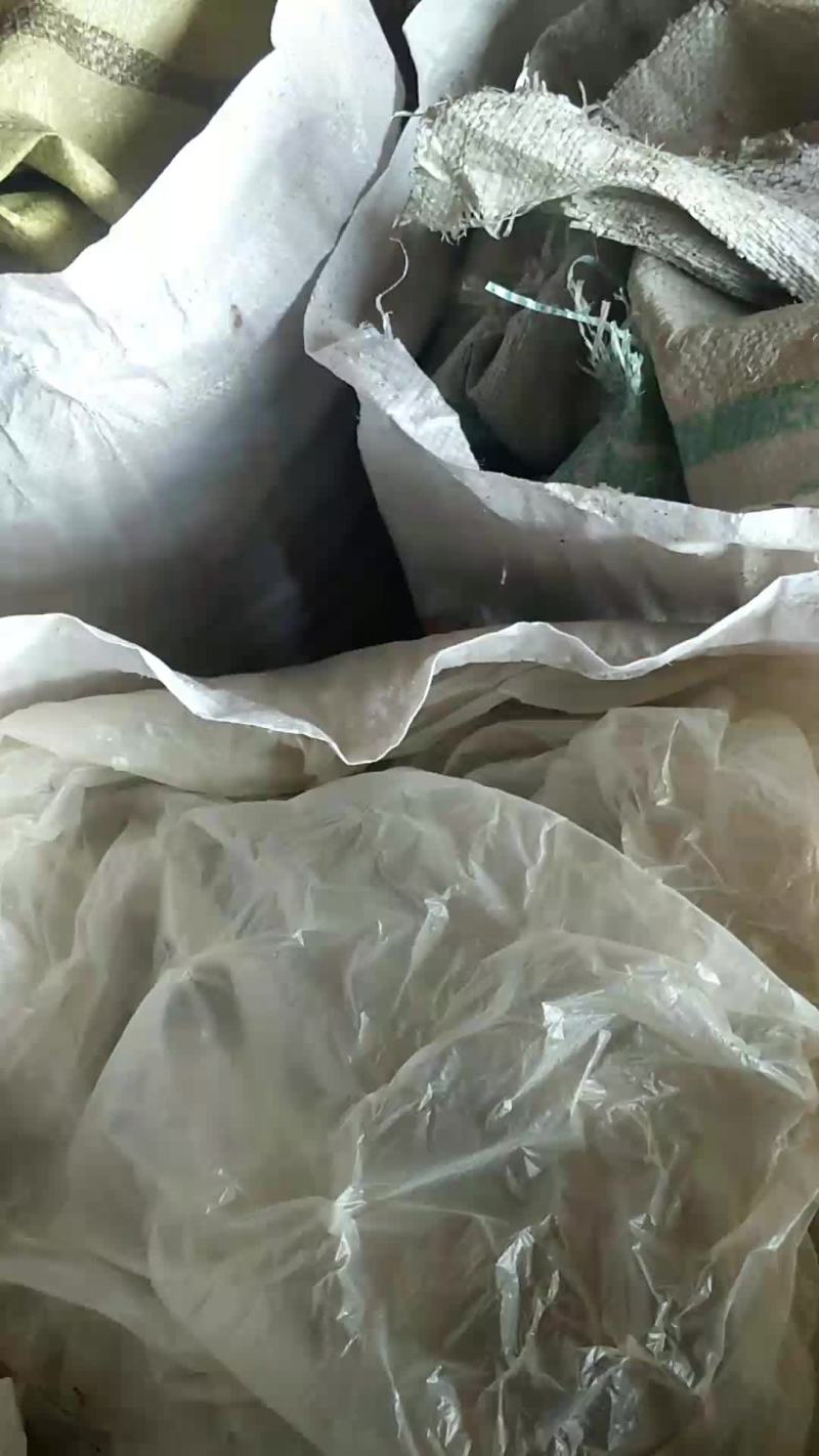 山杏核预订