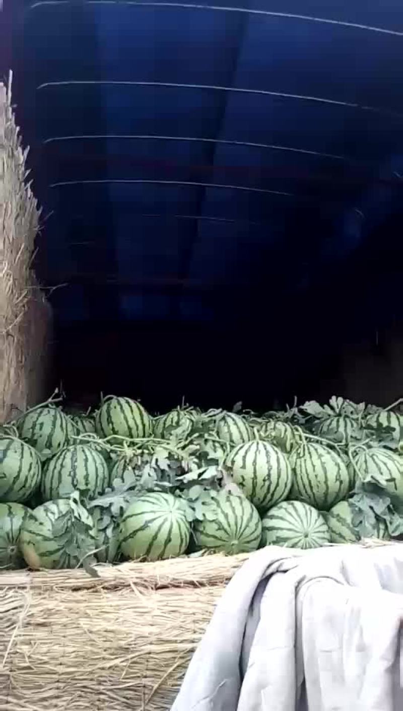 西瓜