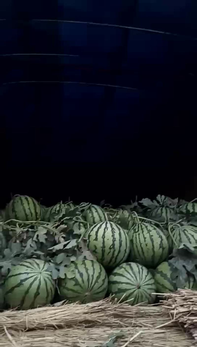 西瓜