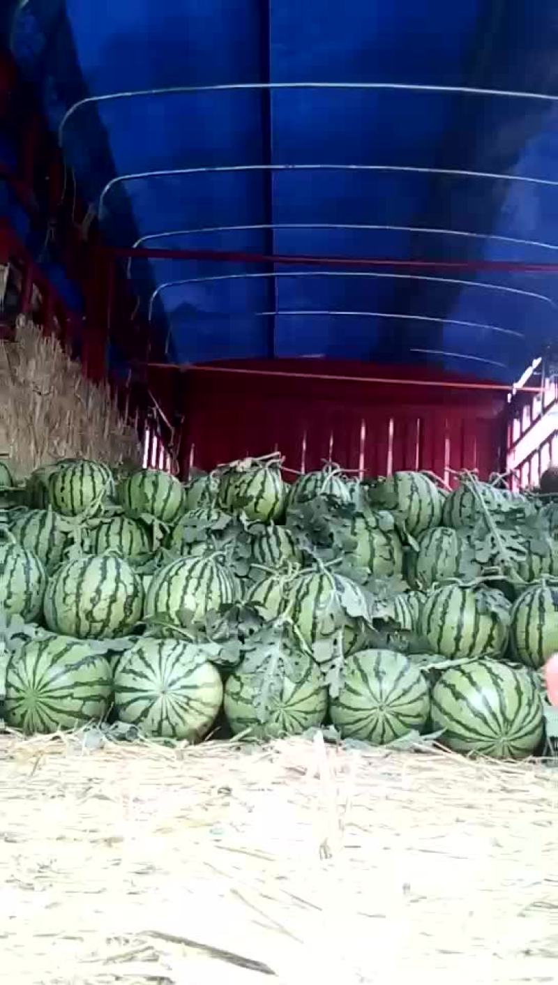 西瓜