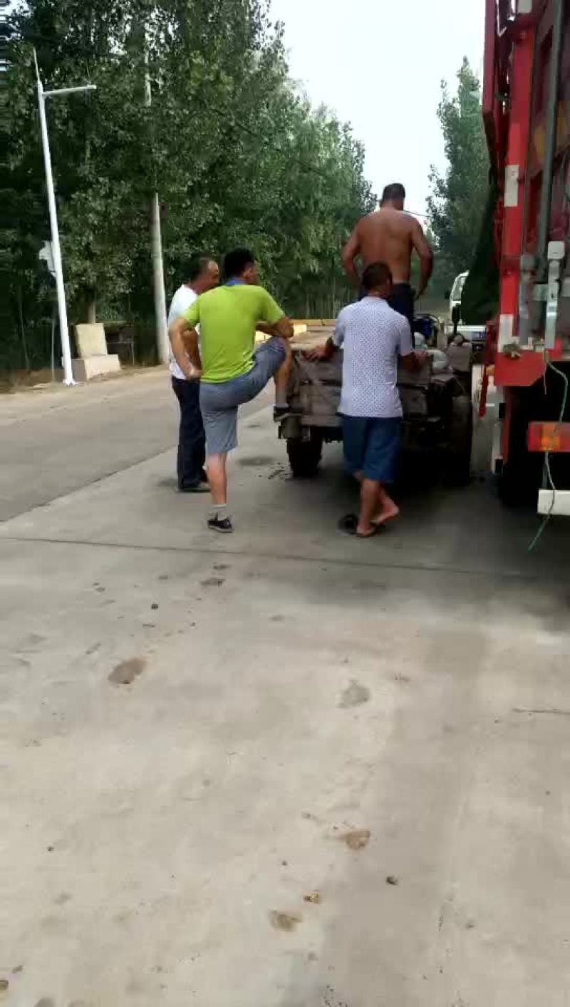 禹城冬瓜大量上市中需要的客户抓紧联系