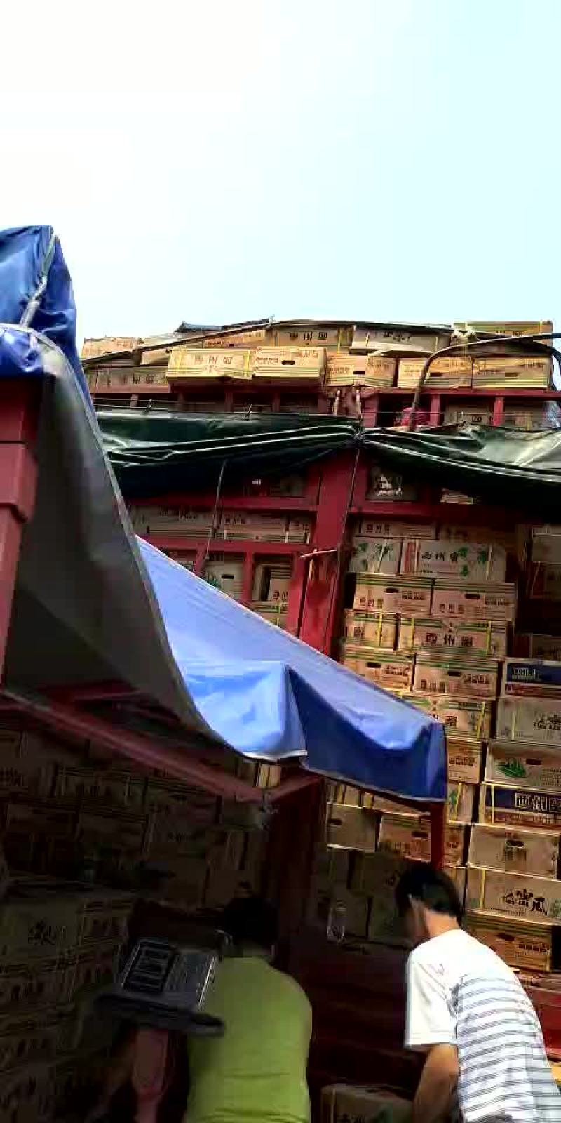 看清楚！我们是市场代卖，不是产地，价格只是象征