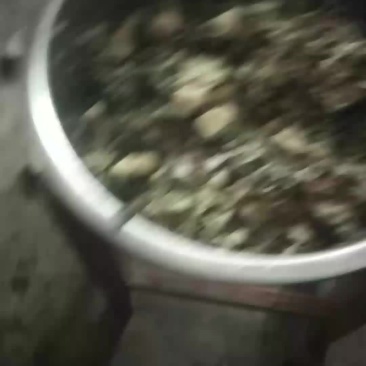 马齿苋无公害
