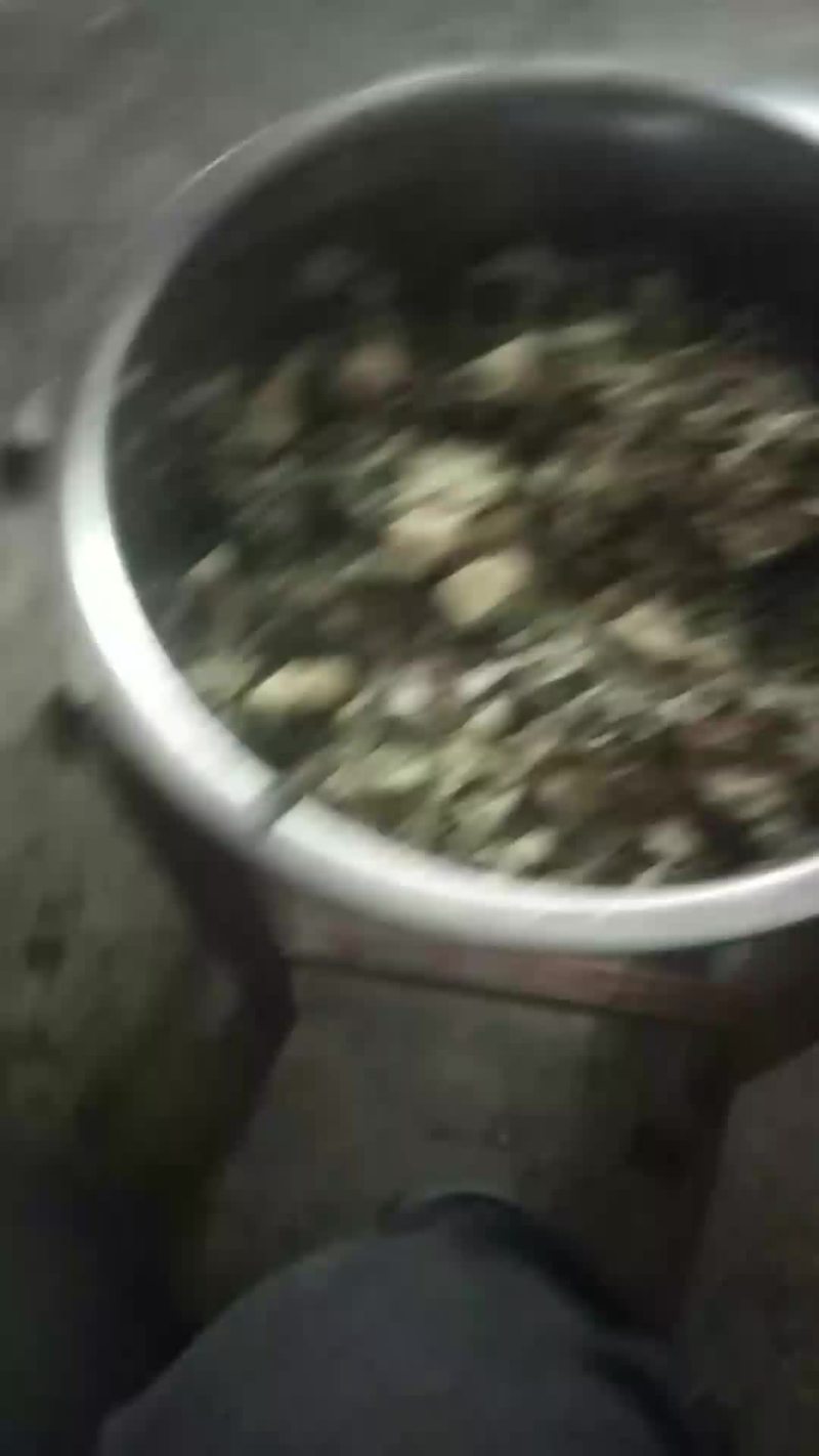 马齿苋无公害