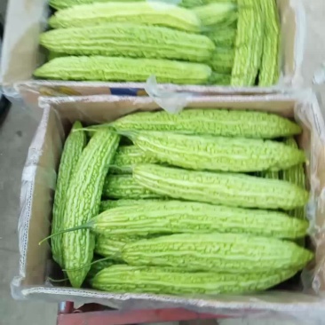 苦瓜干
