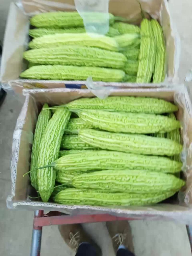 苦瓜干