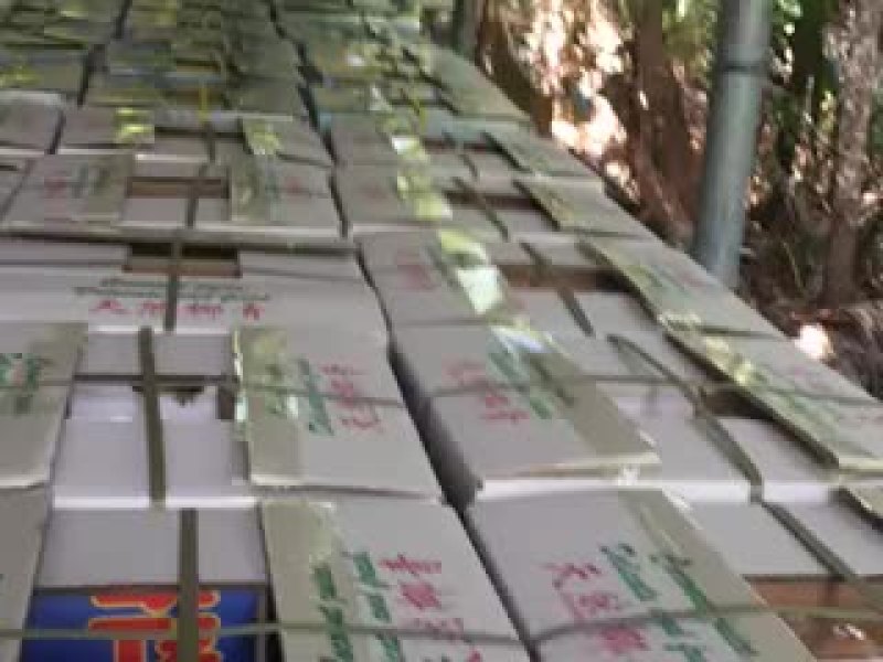 椰青，天然的椰子水解喝