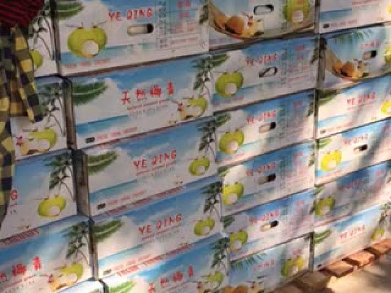 椰青，天然的椰子水解喝