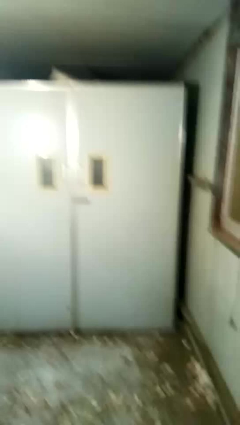 杂交鹅