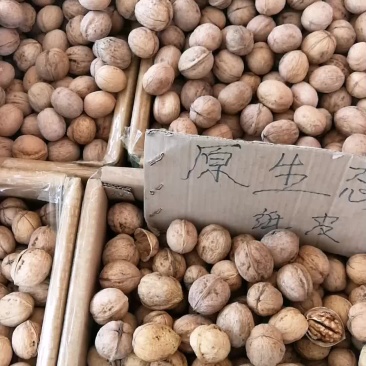 新疆185纸皮核桃