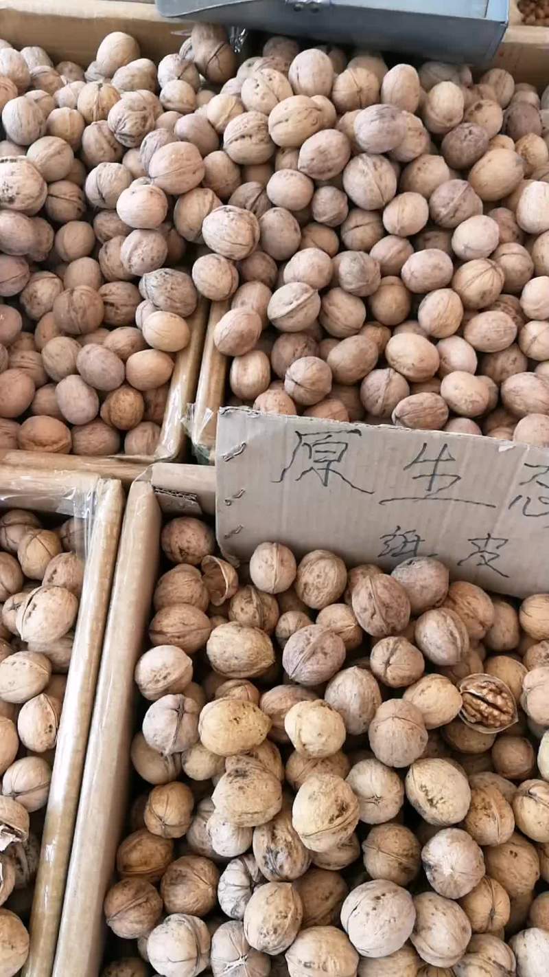 新疆185纸皮核桃
