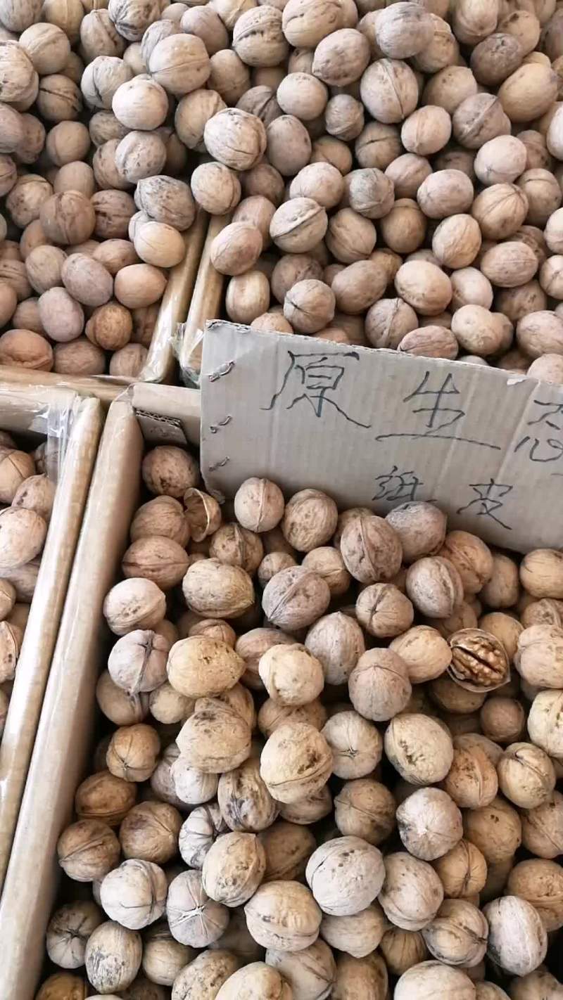 新疆185纸皮核桃