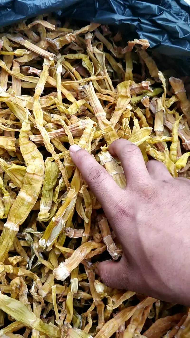 野生竹笋干