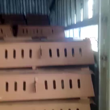鹅苗