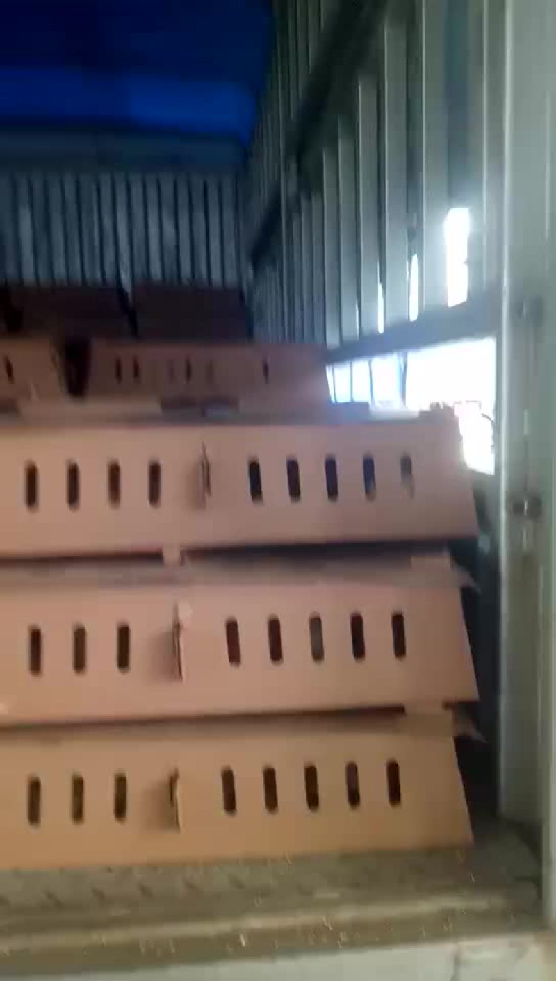 鹅苗