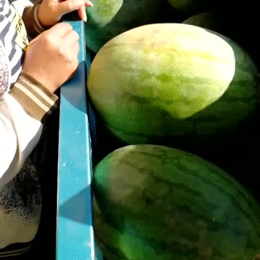 西瓜