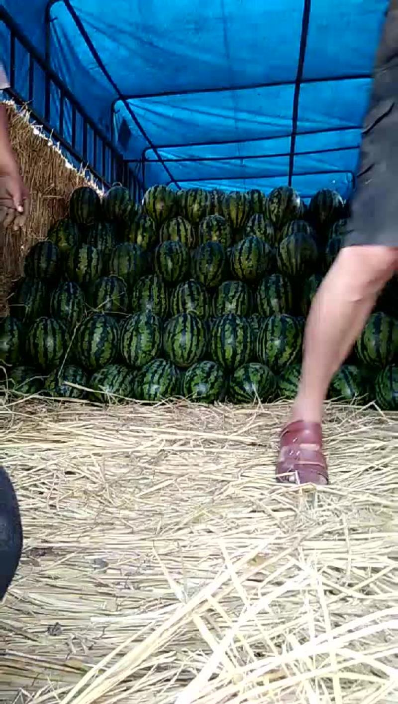 甜王