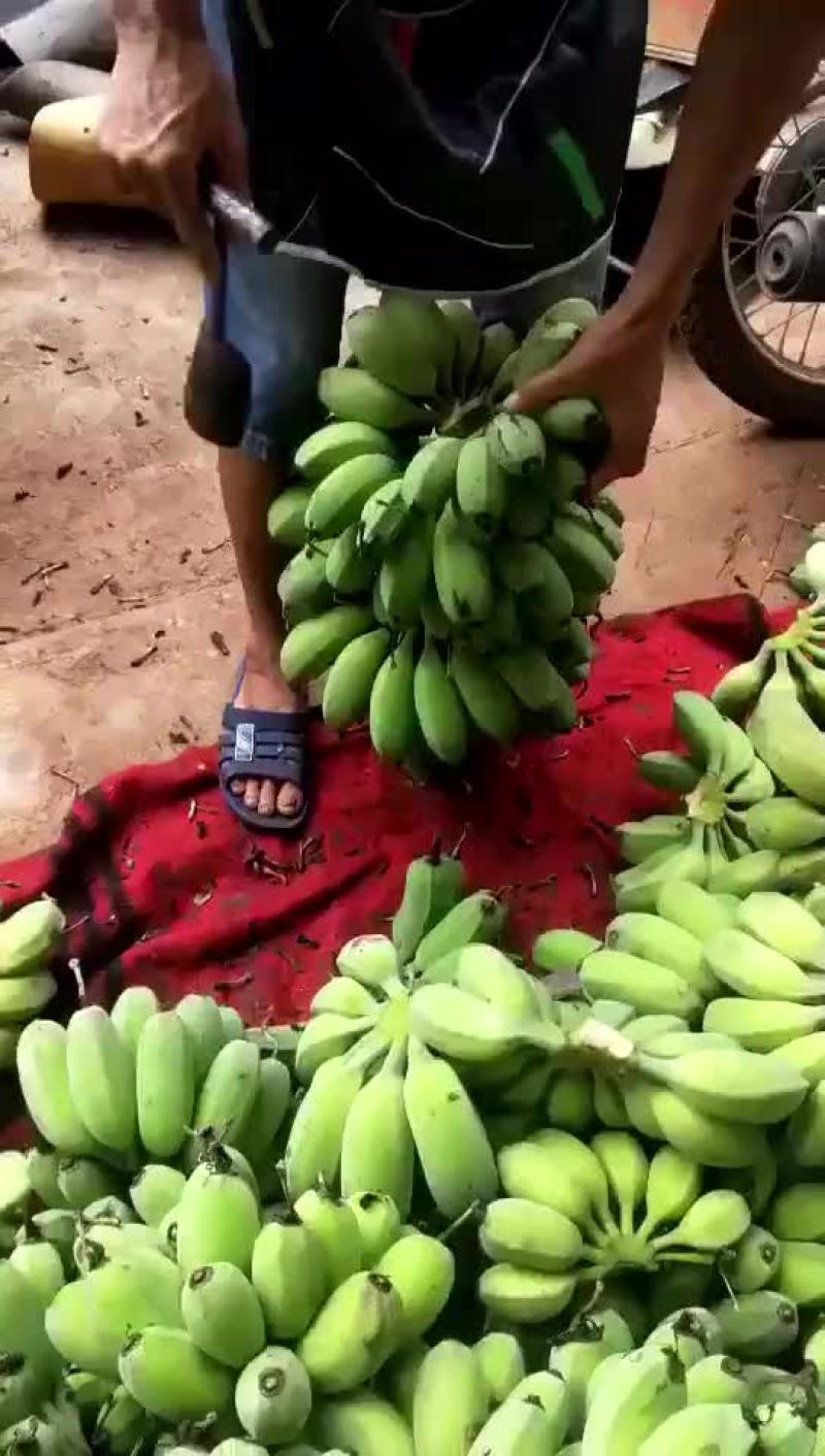 苹果蕉