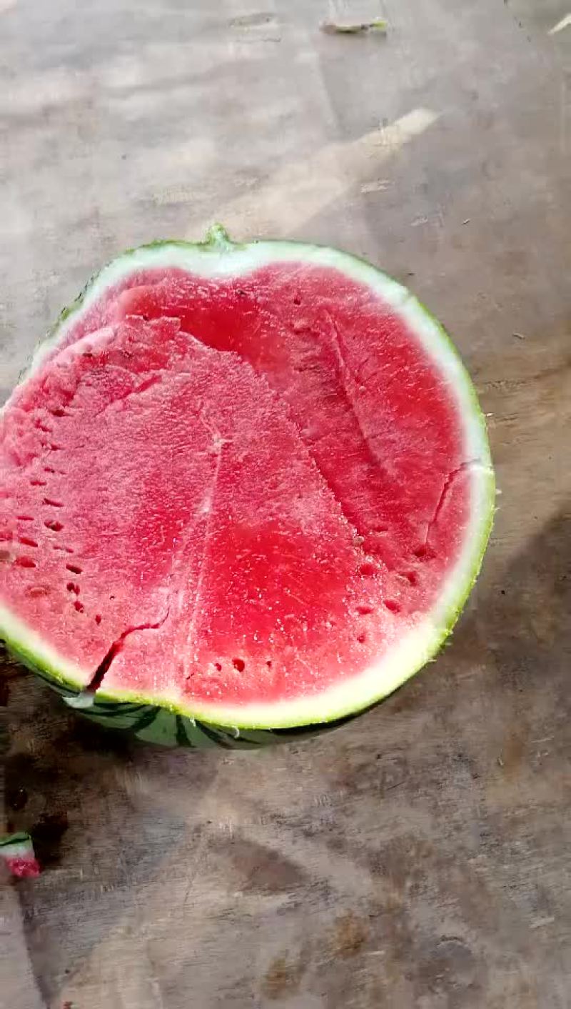 8424口感好皮薄