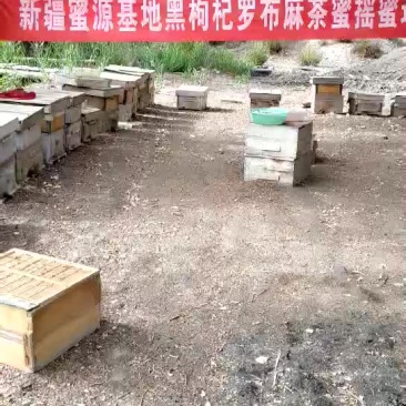 2019年蜂蜜预定，5月开始发货