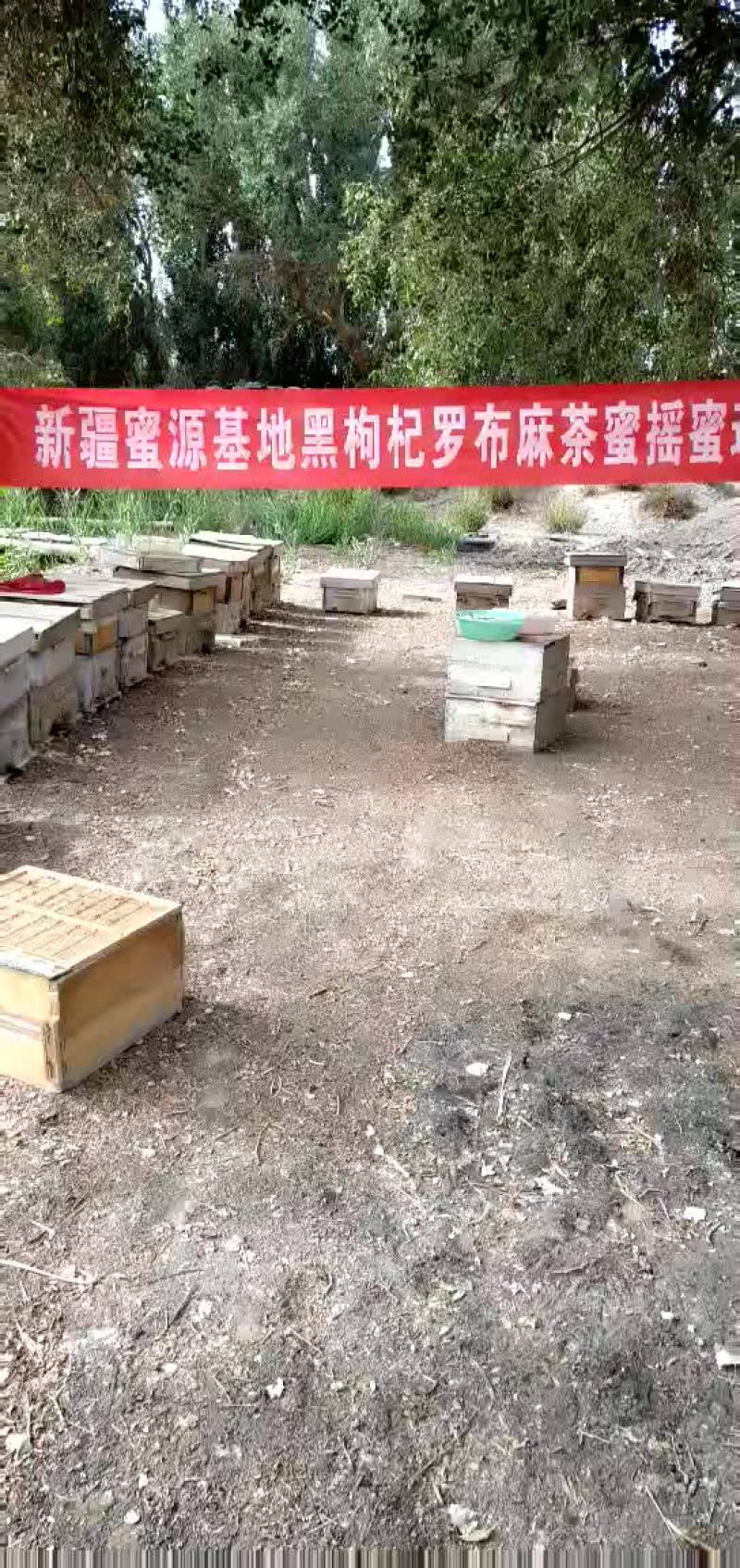 2019年蜂蜜预定，5月开始发货