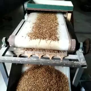 黄粉虫干品，鲜虫，虫粪，需要的请联系