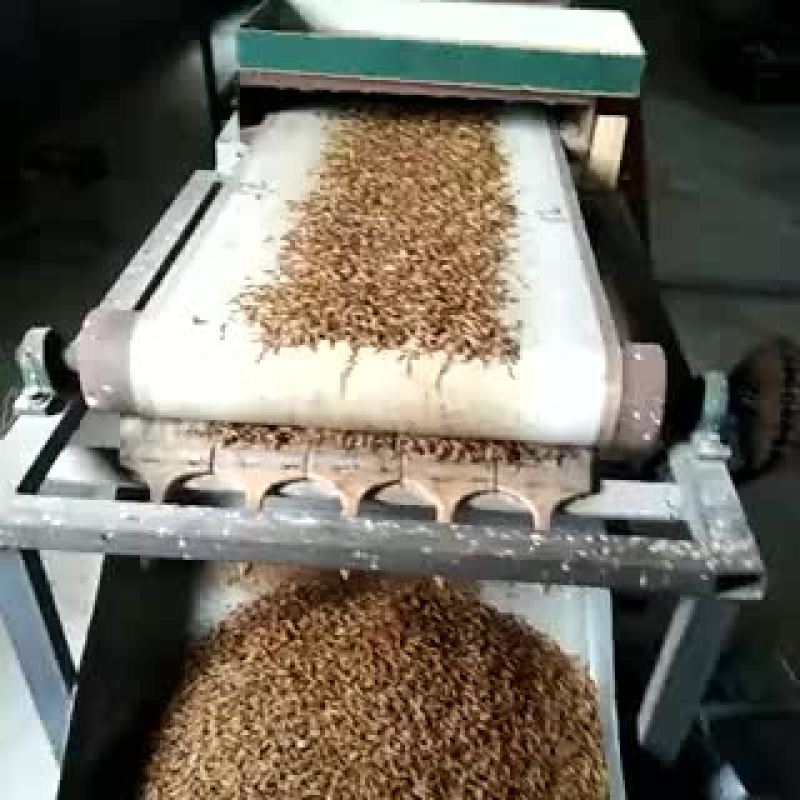 黄粉虫干品，鲜虫，虫粪，需要的请联系