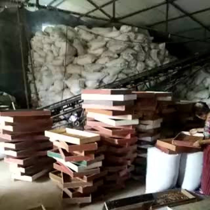黄粉虫干品，鲜虫，虫粪，需要的请联系