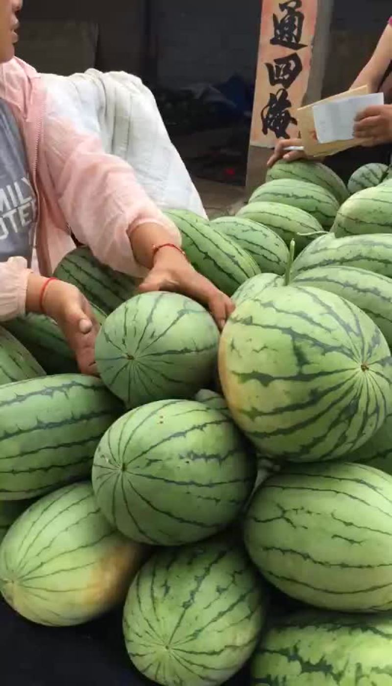 山东潍坊二k西瓜大量上市