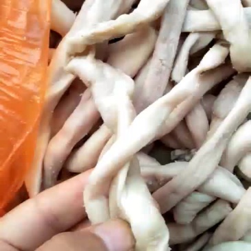 羊肠又细又瘦