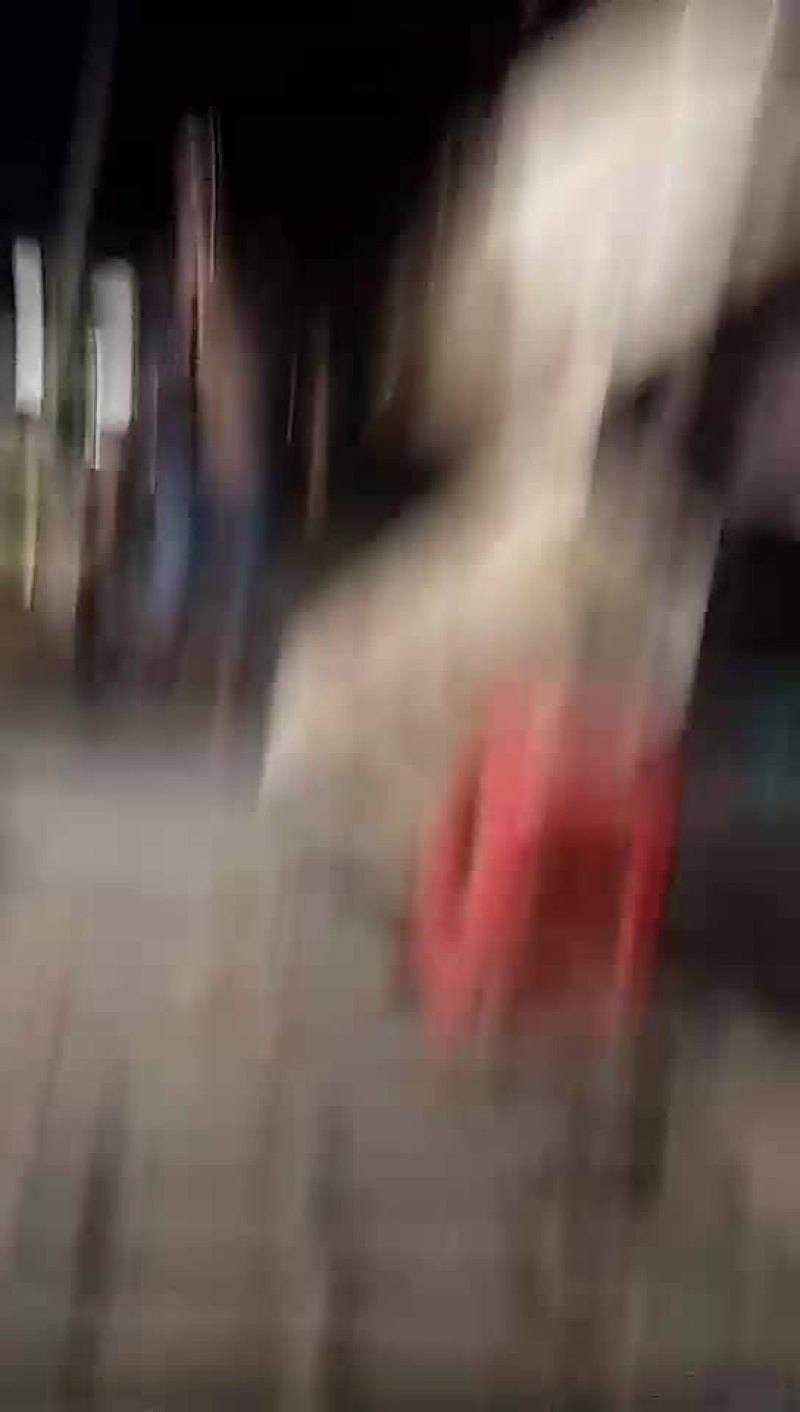 宁夏有名的硒砂瓜