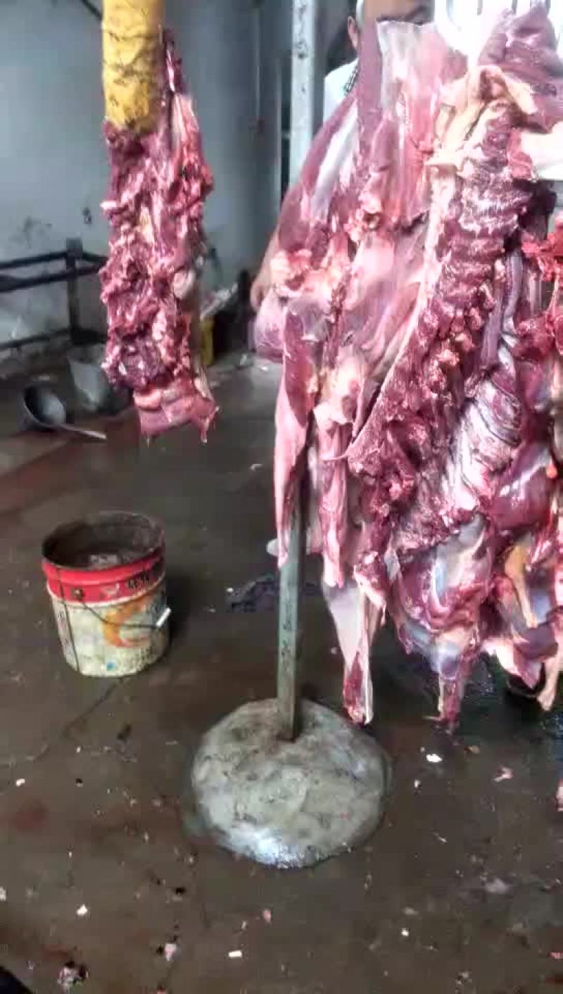 驴肉