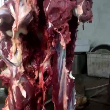 驴肉