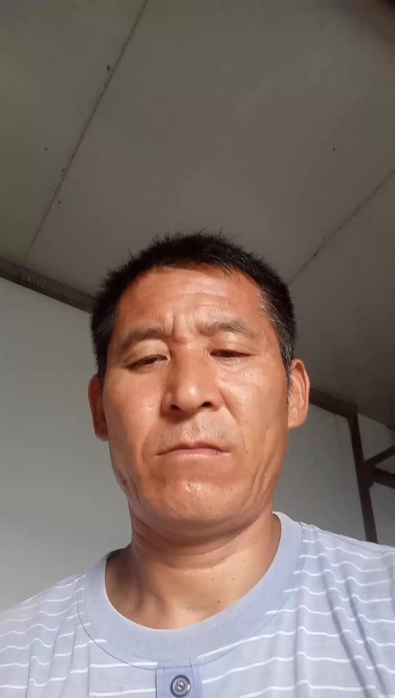 优质大葱