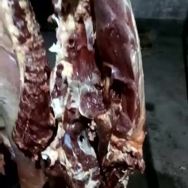 驴肉