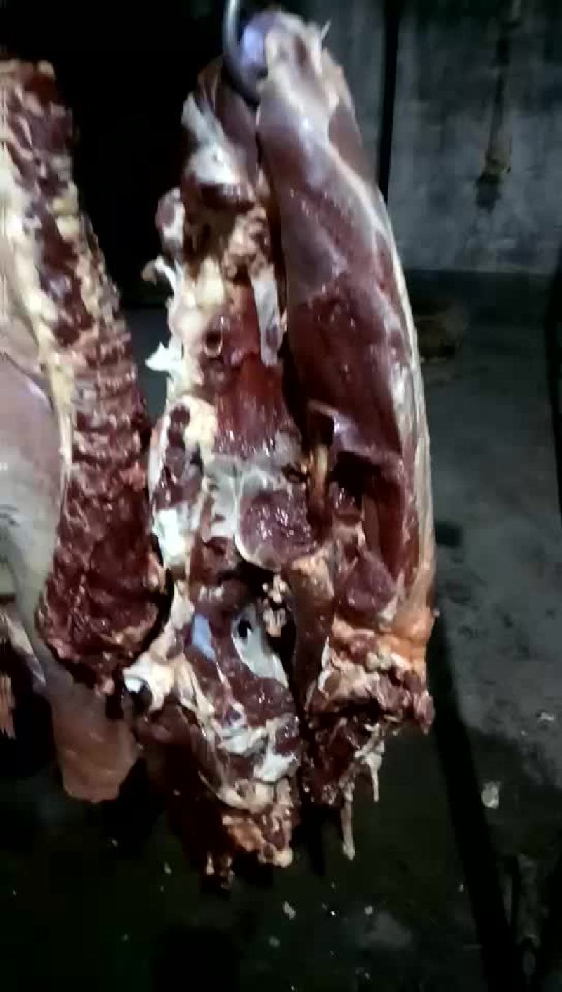 驴肉