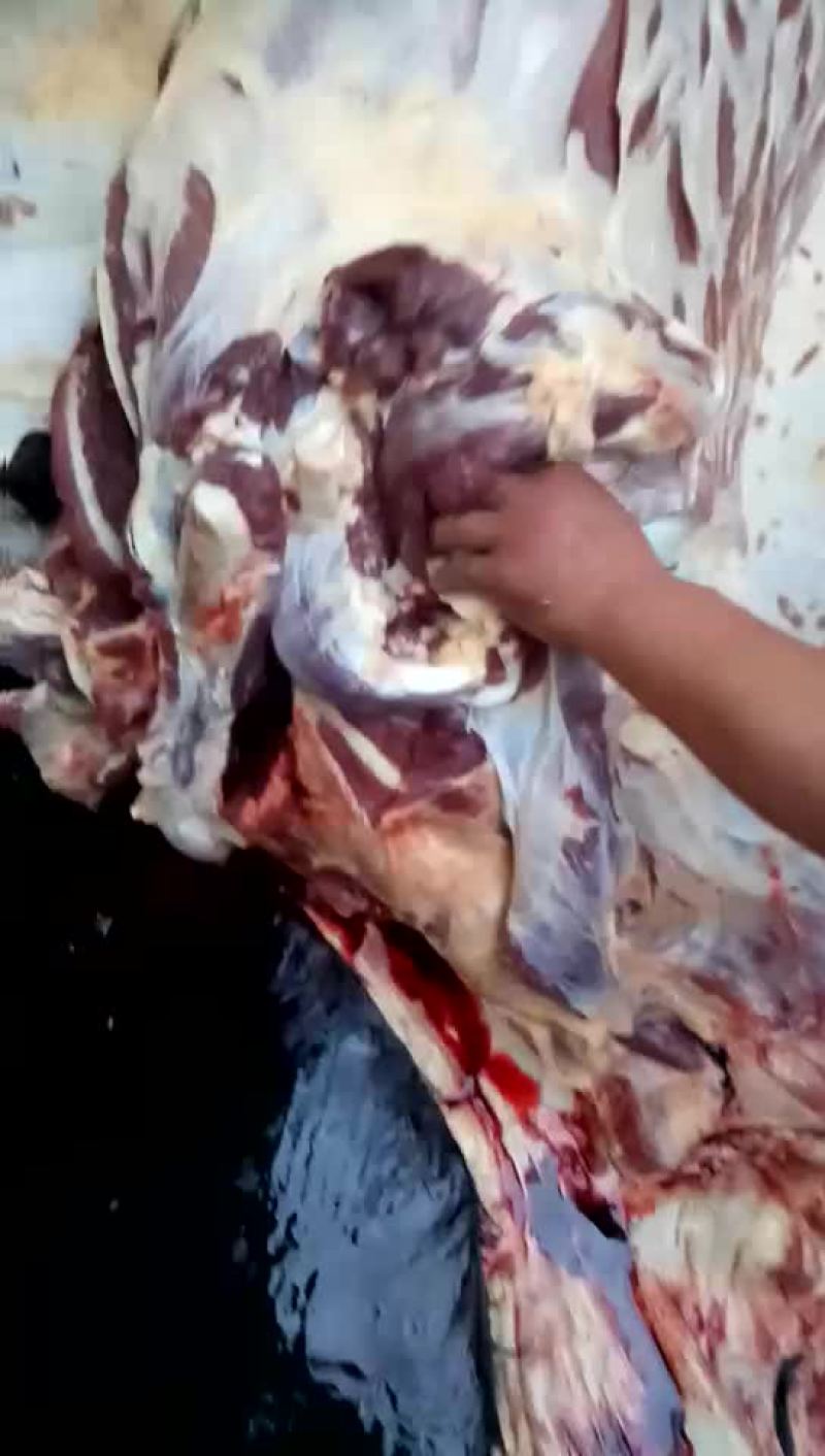 驴肉