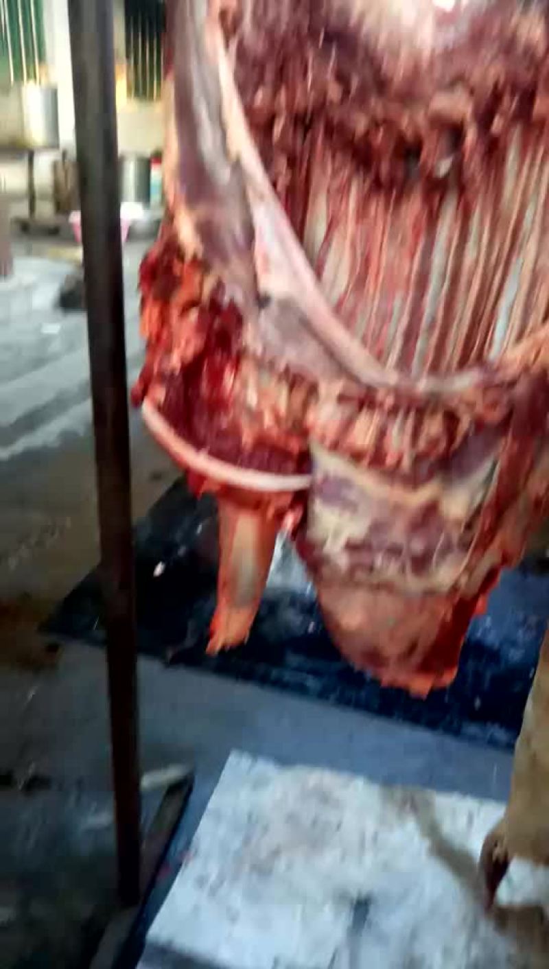驴肉
