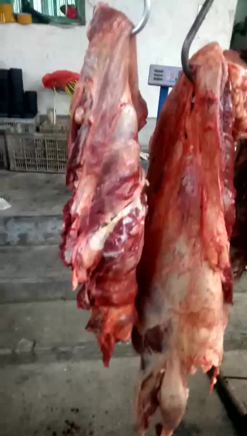 驴肉