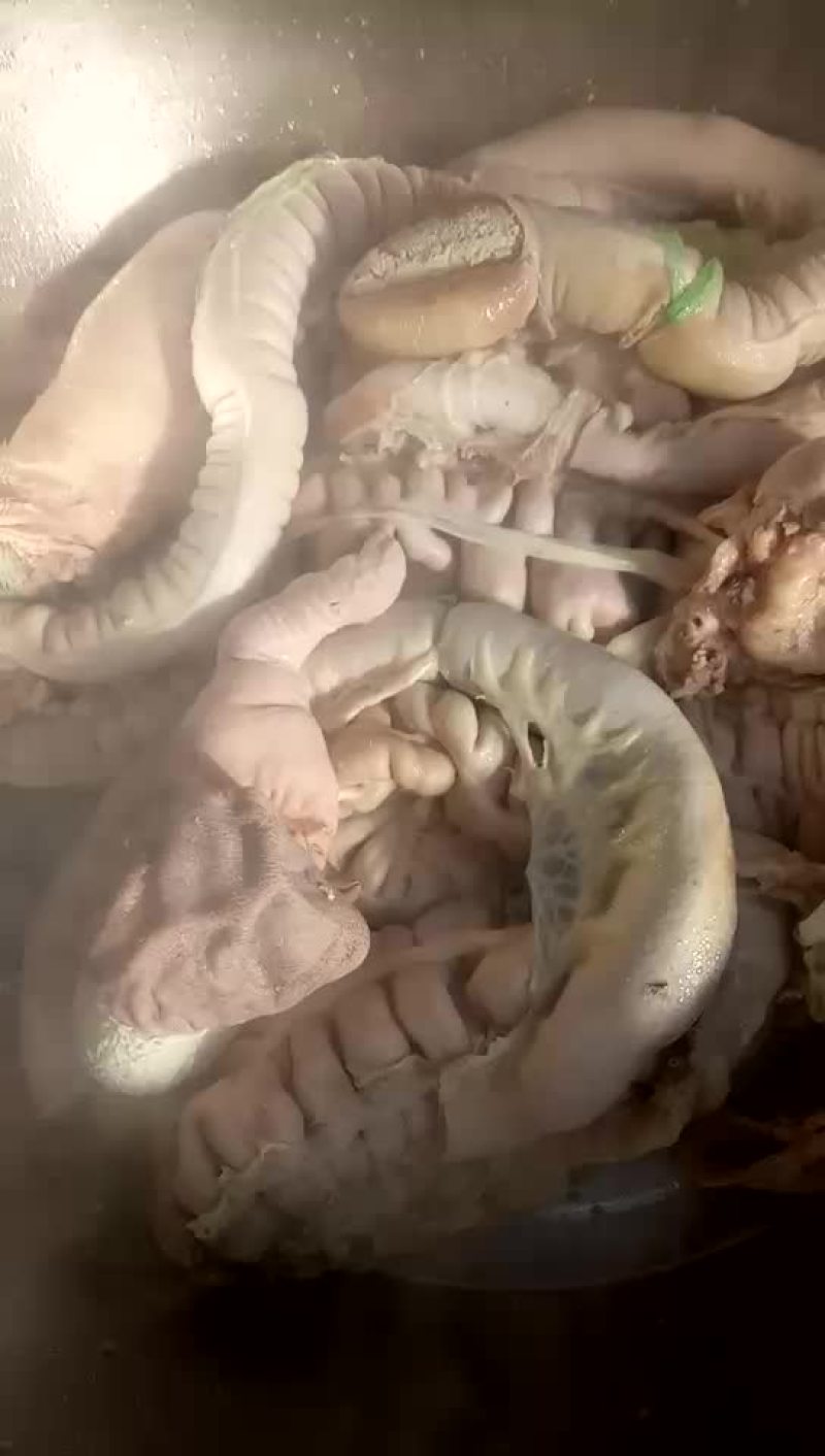 驴肉