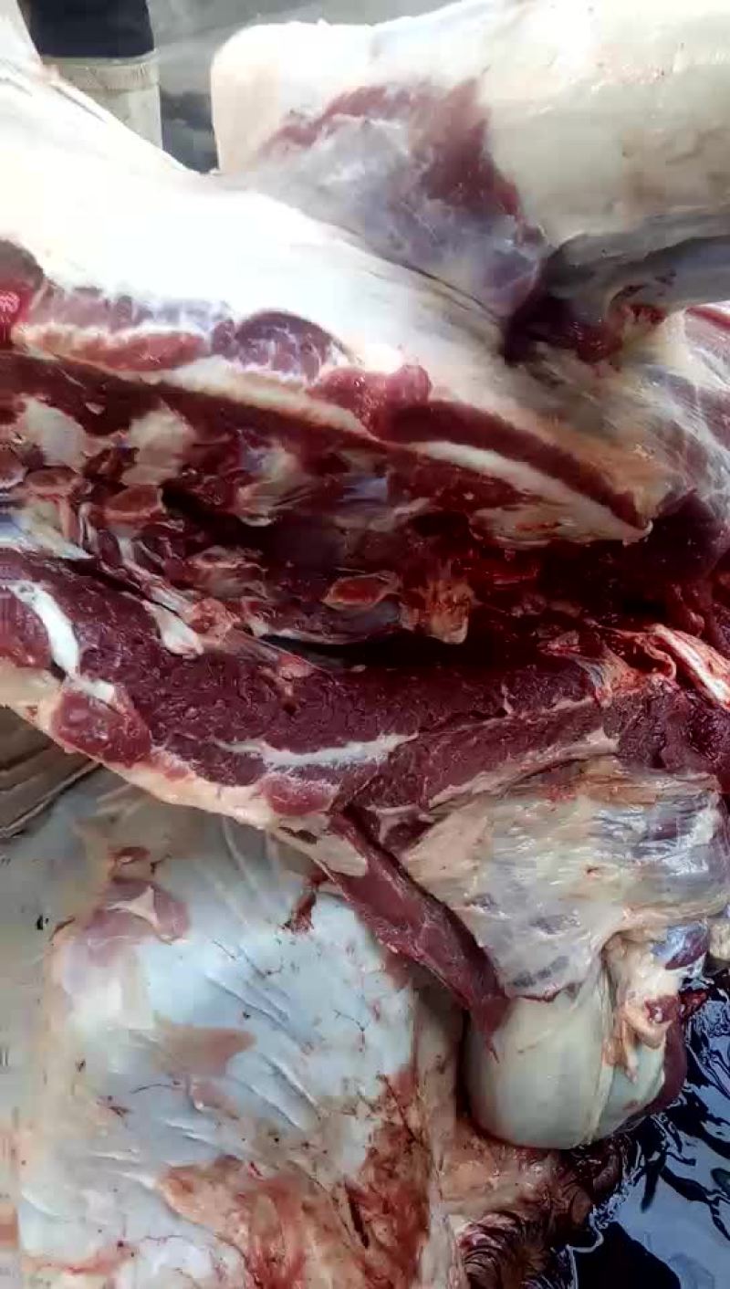 驴肉