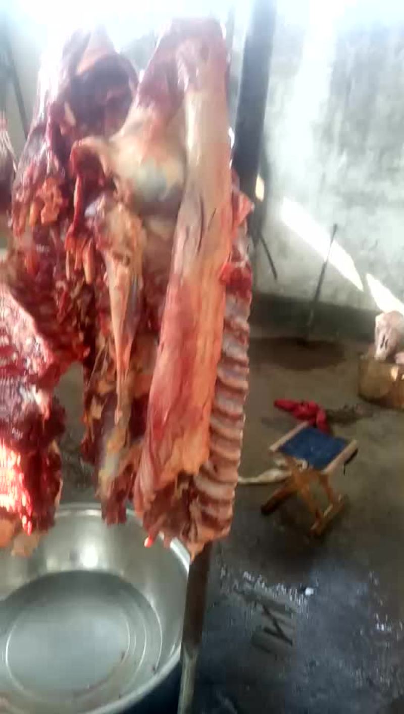 驴肉