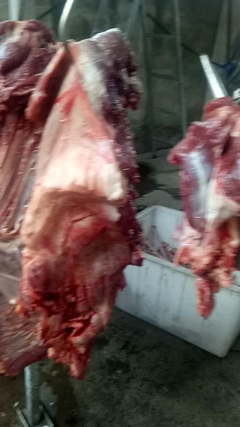 驴肉