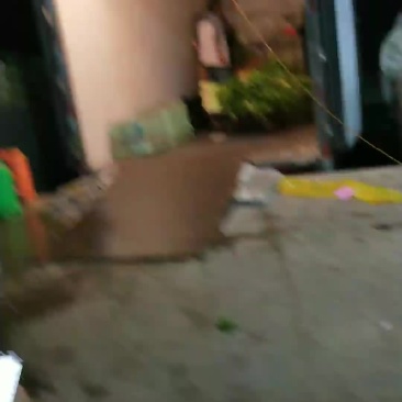 毛芹