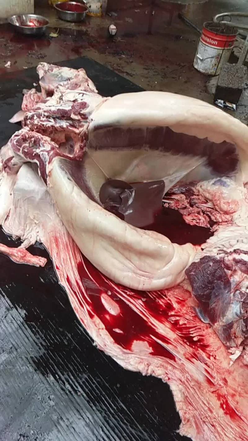 驴肉